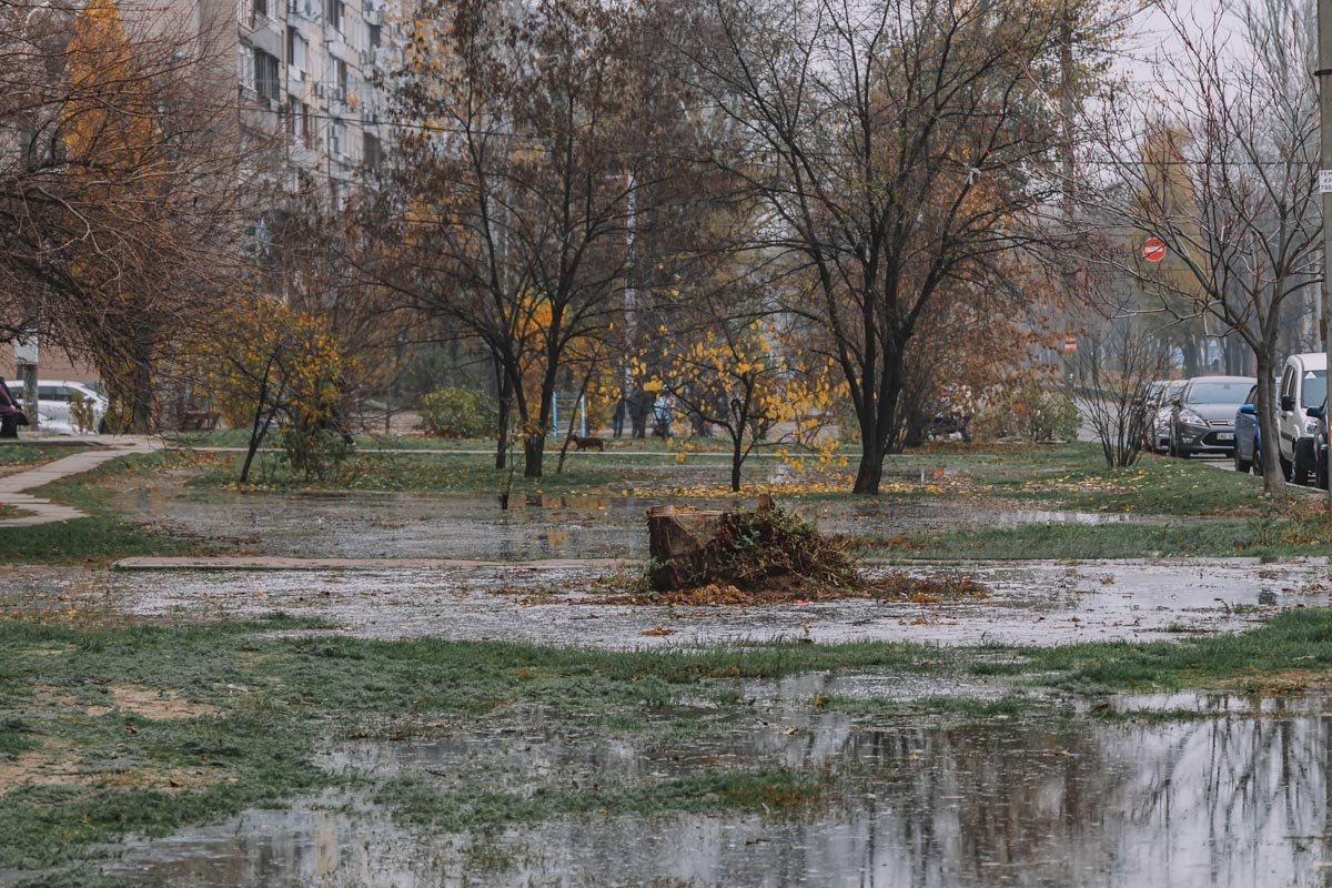 Прорыв канализации Прорыв канализации