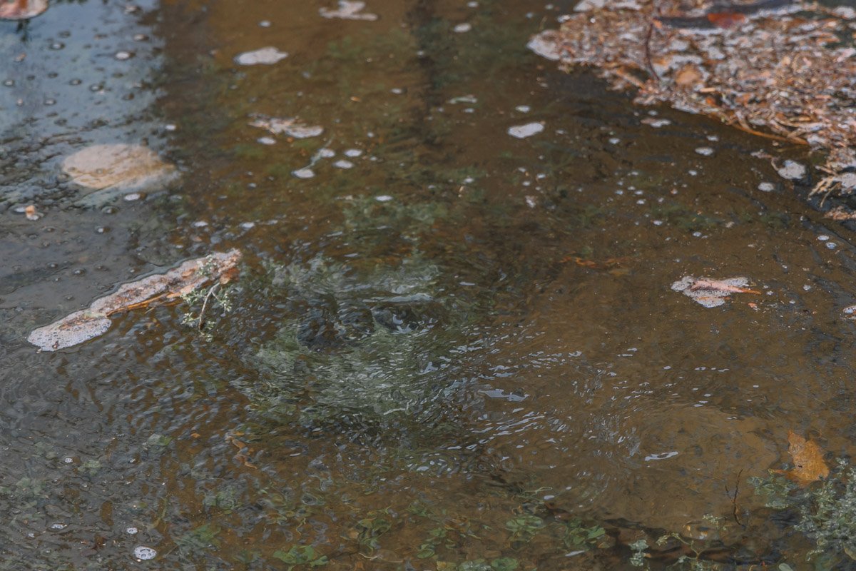 Вода продолжает течь Вода продолжает течь