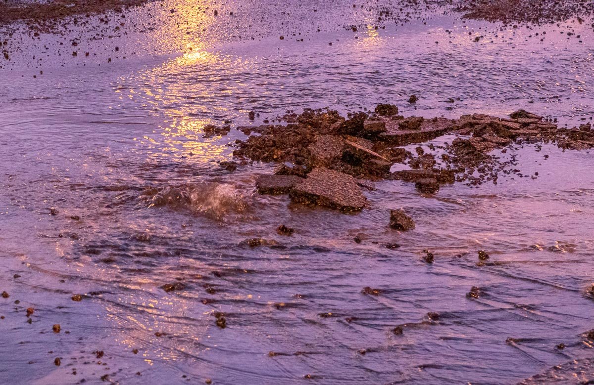 Природу не остановить Природу не остановить