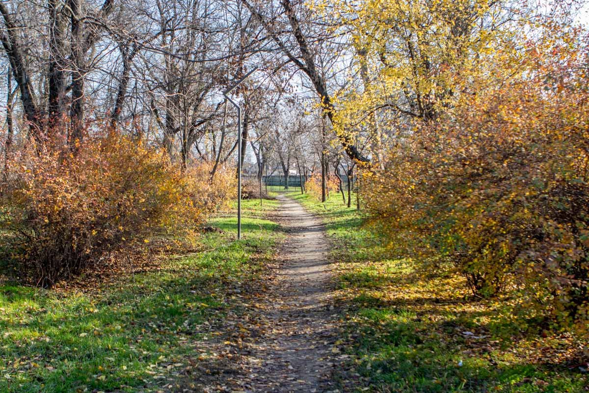 Работа идет в не благоустроенной части парка, поэтому лишние руки здесь очень нужны Работа идет в не благоустроенной части парка, поэтому лишние руки здесь очень нужны