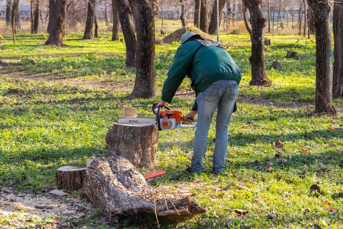 В среднем, должники работают по 8 часов в сутки, в зависимости от того, как им назначил суд В среднем, должники работают по 8 часов в сутки, в зависимости от того, как им назначил суд