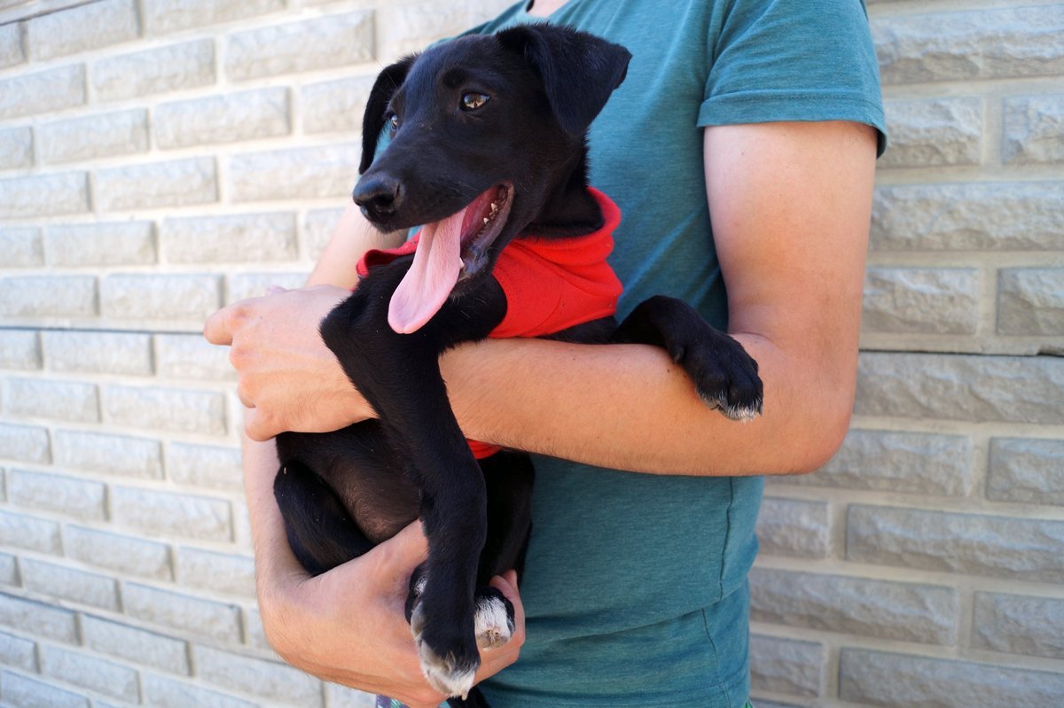 Одно сплошное НЯ :3 Одно сплошное НЯ :3