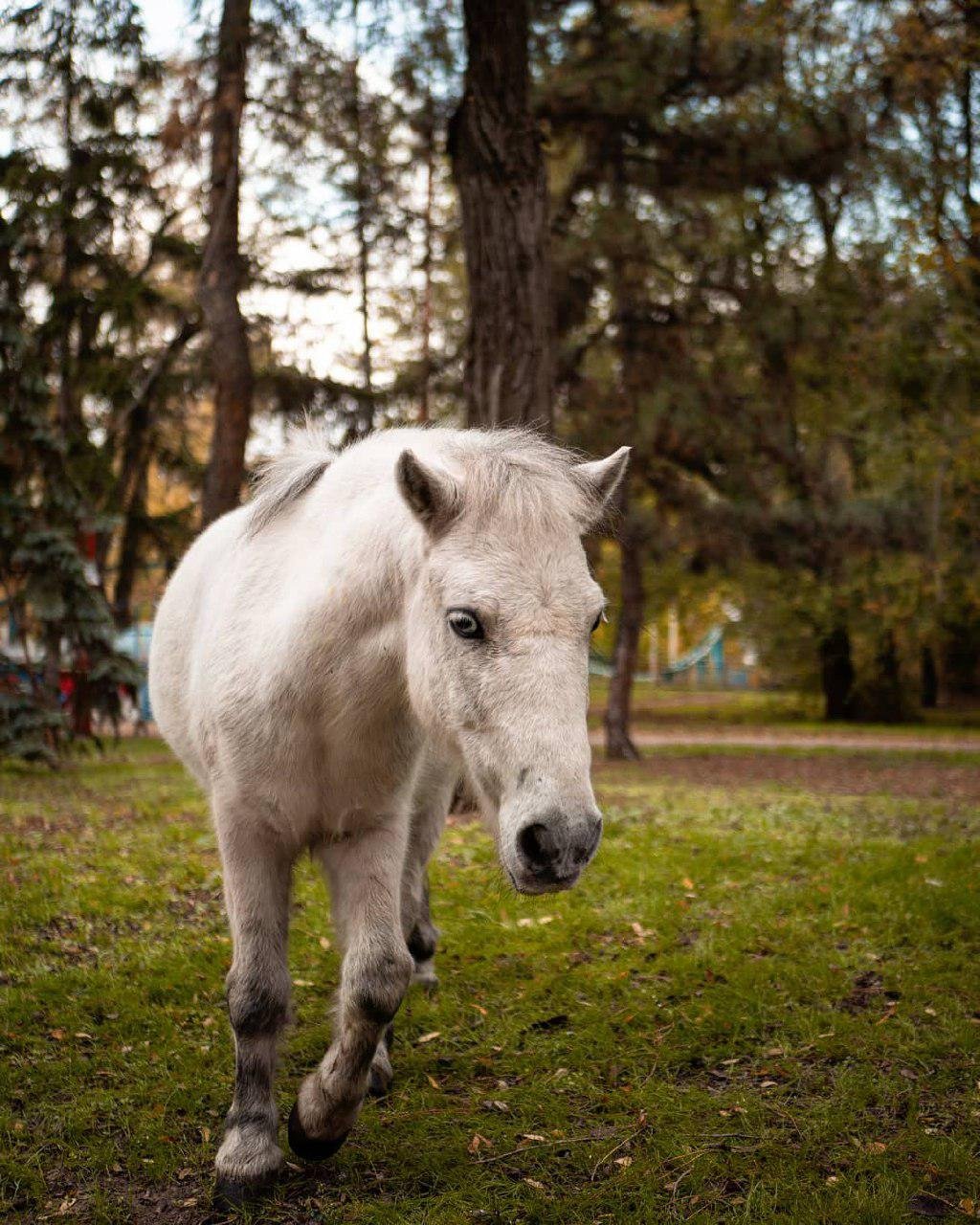 Вдохновение. Фото: emil.ua Вдохновение. Фото: emil.ua