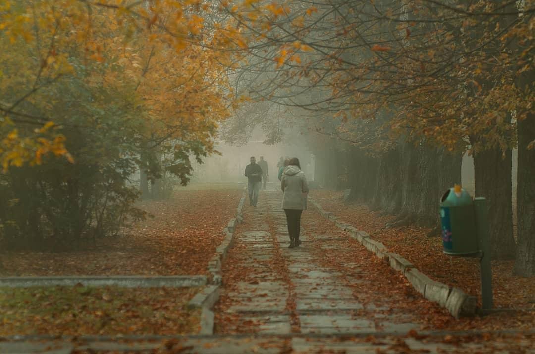 Дрожащие от тумана улицы кажутся растворенными во времени. Фото: allex_m.i Дрожащие от тумана улицы кажутся растворенными во времени. Фото: allex_m.i