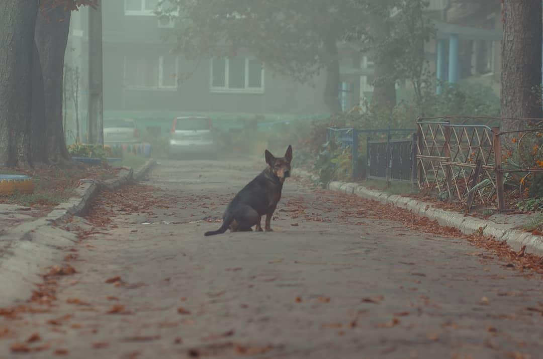 Сезон одиночества. Фото: allex_m.i Сезон одиночества. Фото: allex_m.i