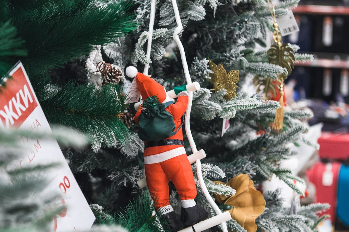 Вперед в зиму Вперед в зиму