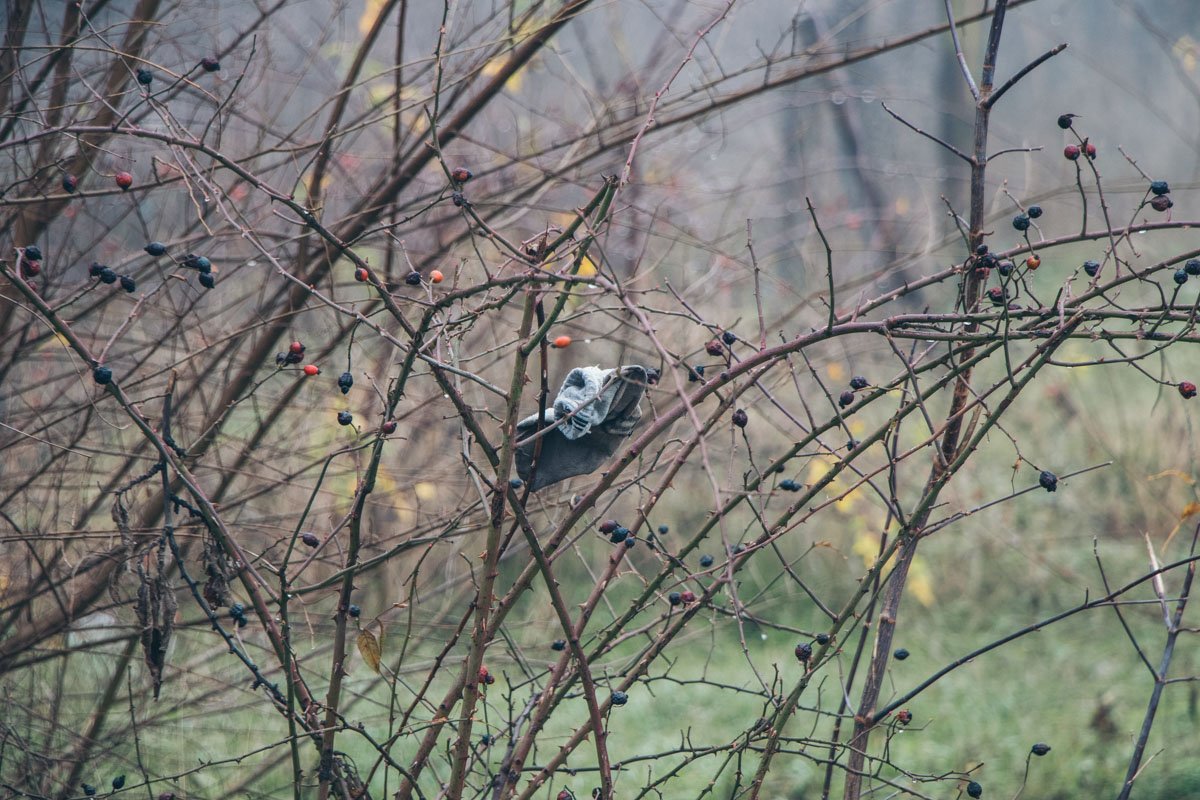 Носки прилетели Носки прилетели