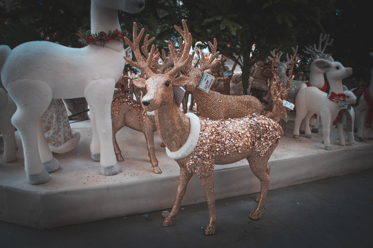Вам точно нужен свой олень