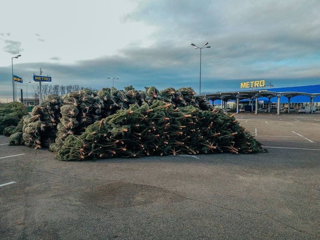 Совсем скоро появятся елочные базары