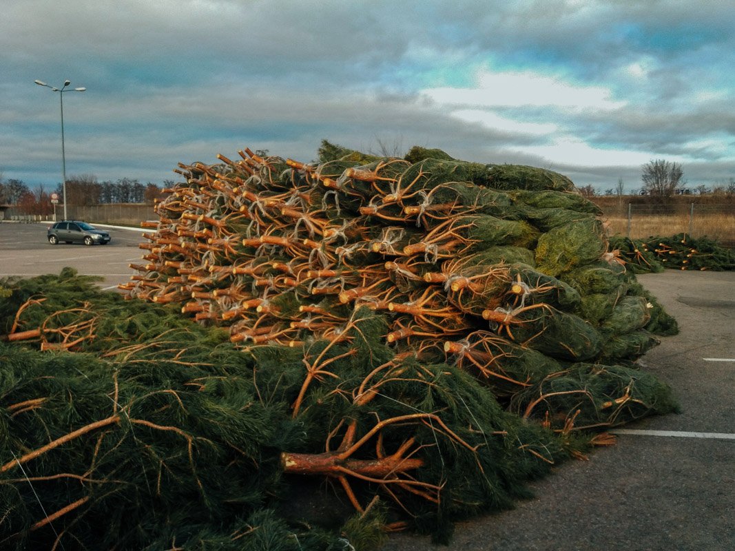 Чувствуете запах?