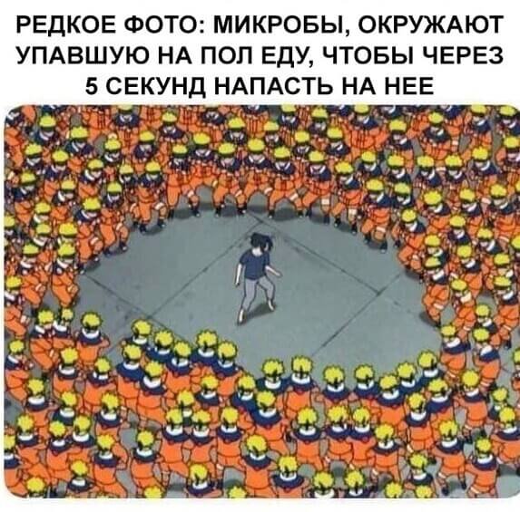 Окей, Информатор: развенчиваем мифы о бактериях 1