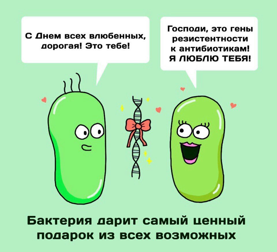 Окей, Информатор: развенчиваем мифы о бактериях 2