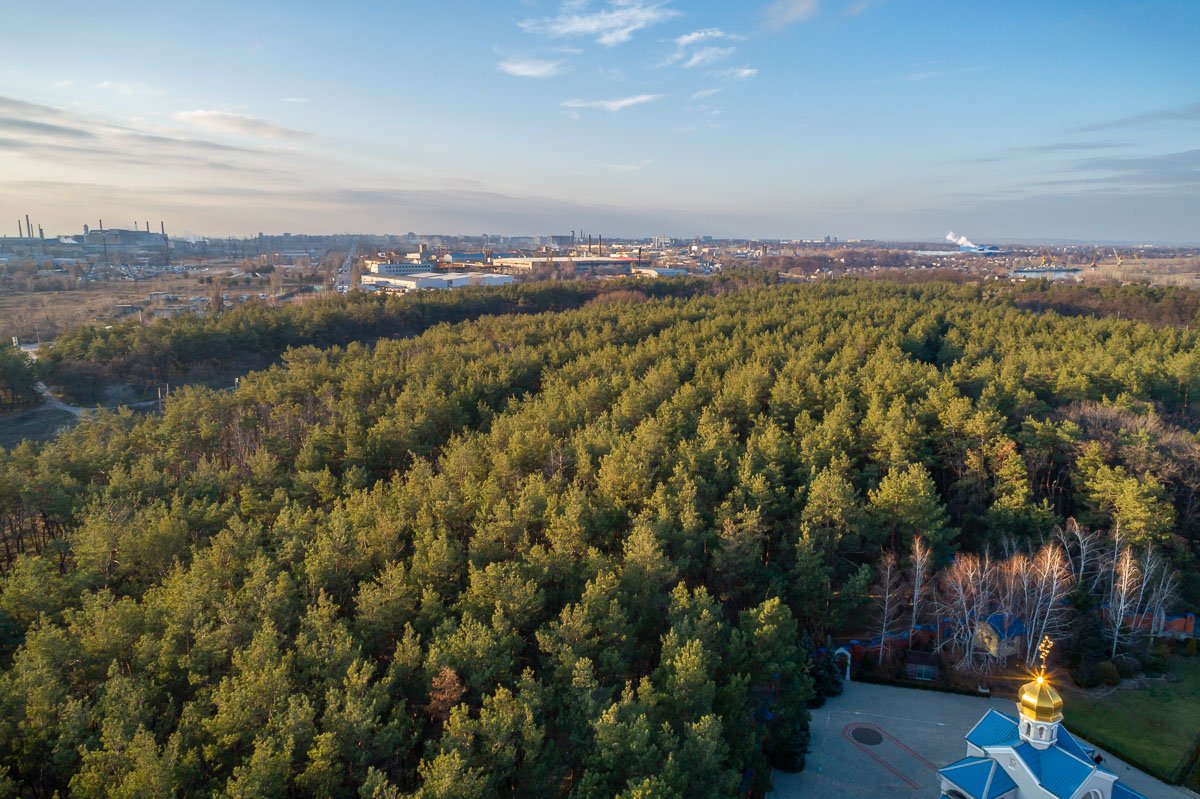 За лето высох он от солнца, За лето высох он от солнца,