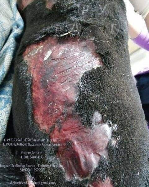 Малышке нужна помощь 