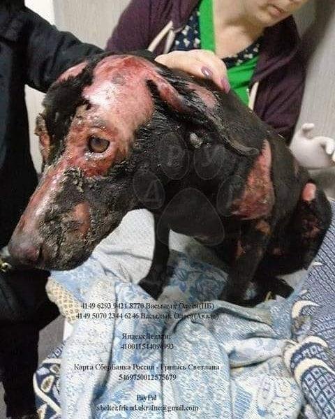 Она точно выживет