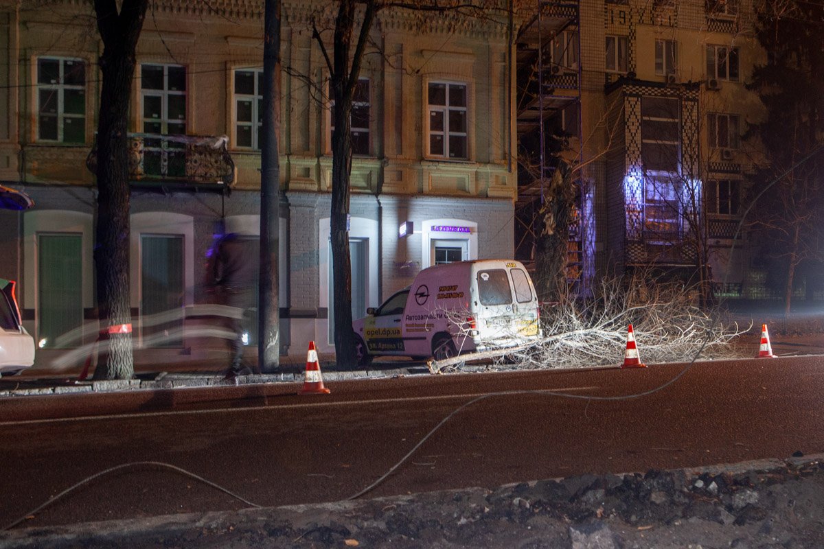 Упавшие ветки оборвали провода Упавшие ветки оборвали провода