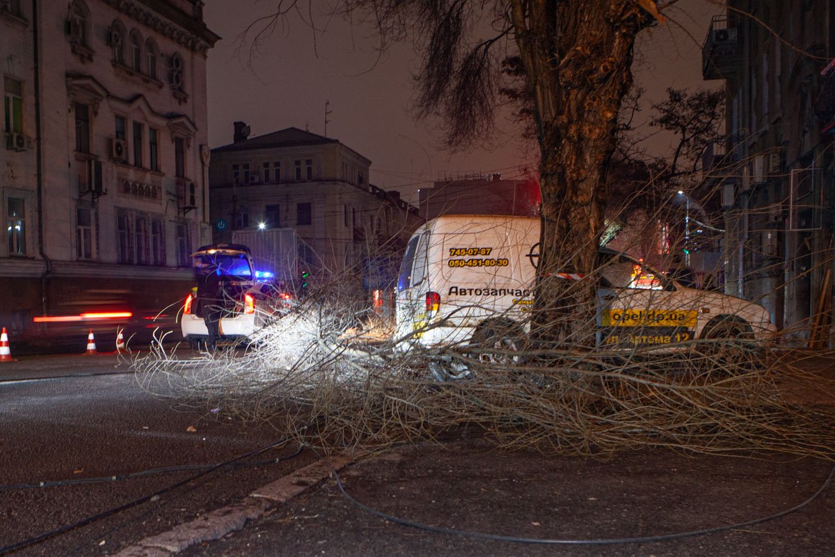 Ветки упали возле припаркованного автомобиля Ветки упали возле припаркованного автомобиля