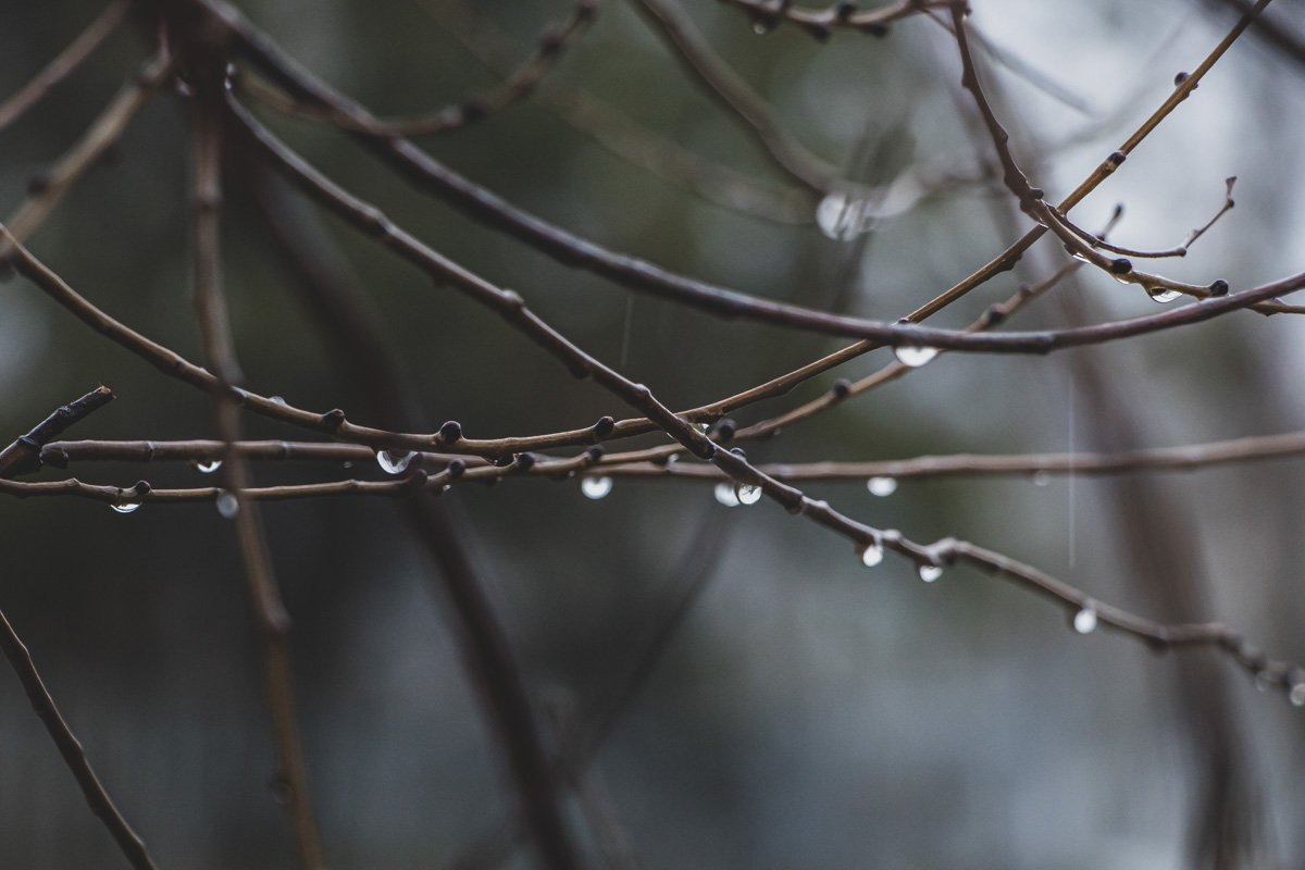 Ночь заходит на новый круг. Ночь заходит на новый круг.