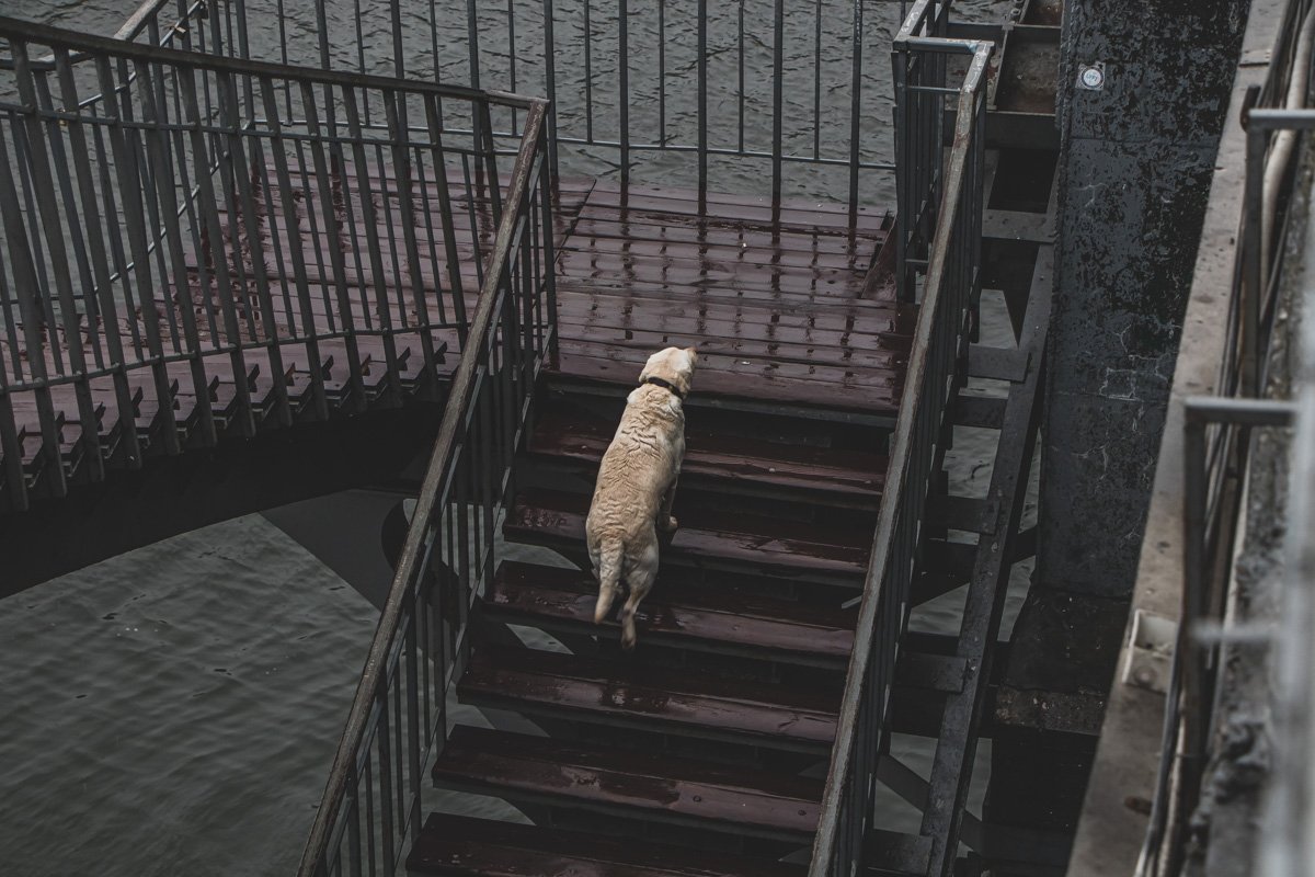 Поменяться бы с ним местами, Поменяться бы с ним местами,