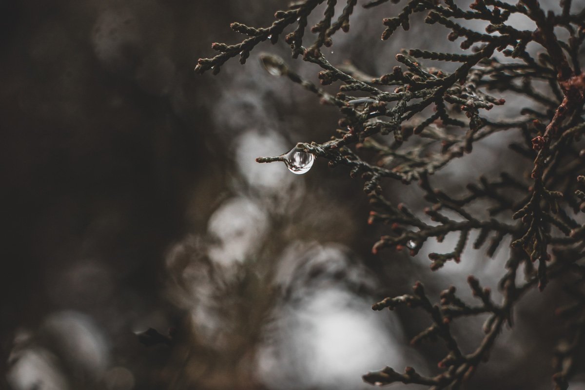 Эта ноша осядет пылью, Эта ноша осядет пылью,