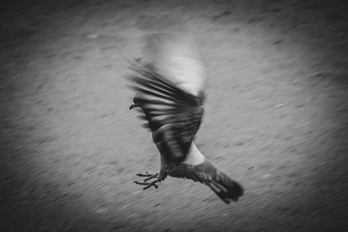 Я ищу тебя словно нищий Ищет свой настоящий дом, Я ищу тебя словно нищий Ищет свой настоящий дом,