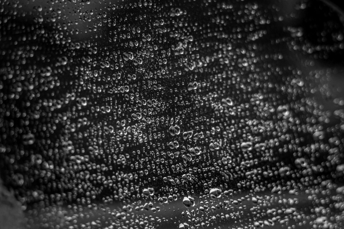 Трусость — слишком большая плата, Трусость — слишком большая плата,