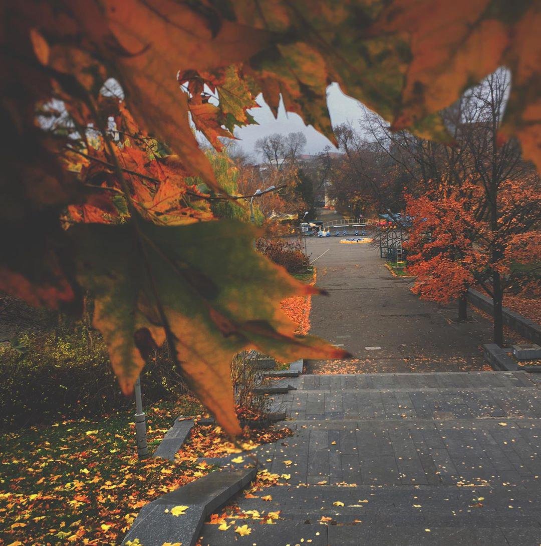 Фото: mr._drew_ Фото: mr._drew_