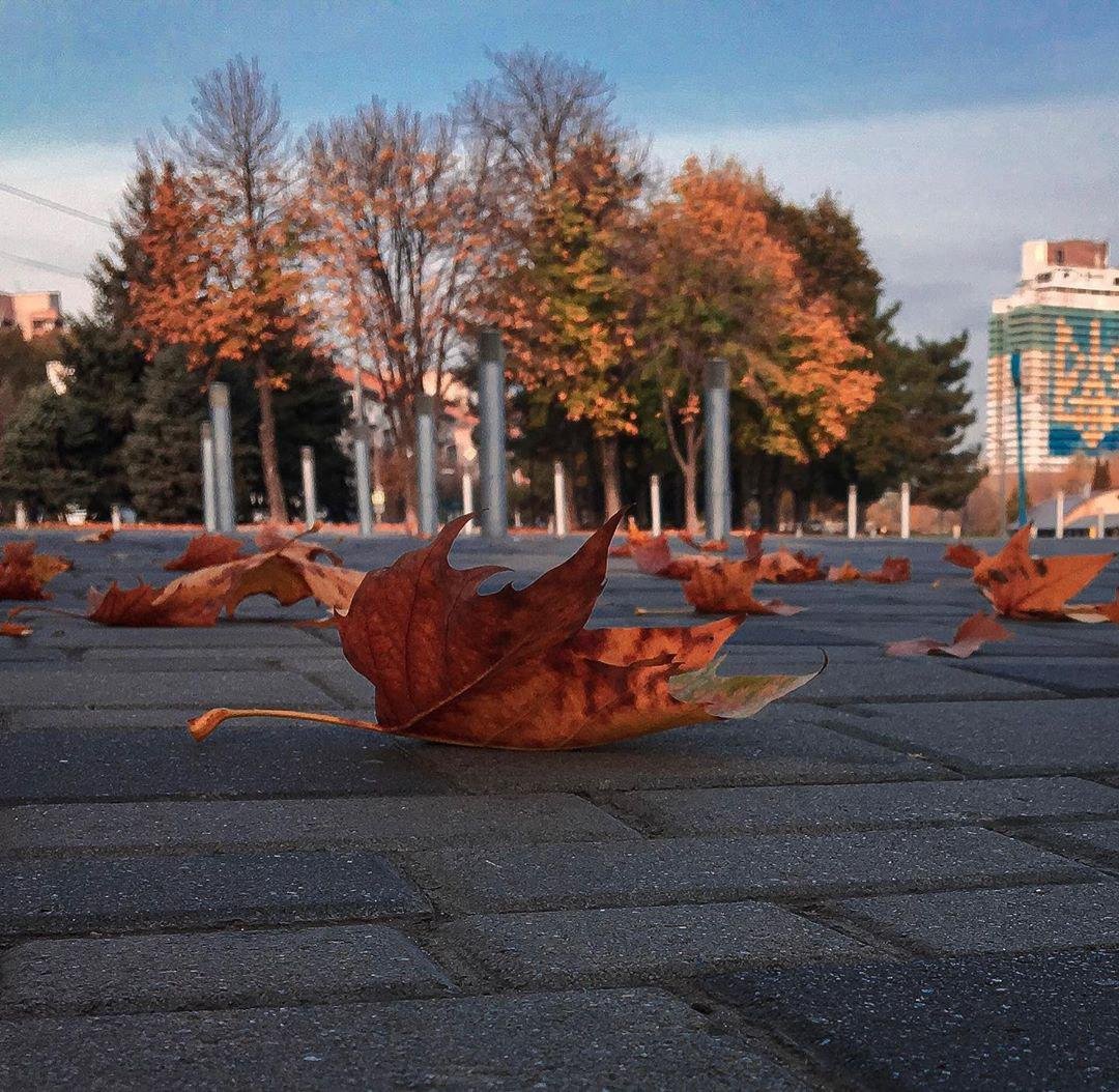 Фото: garackevich.irina Фото: garackevich.irina