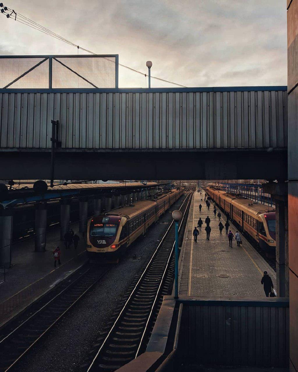 Фото: cgv_photo Фото: cgv_photo