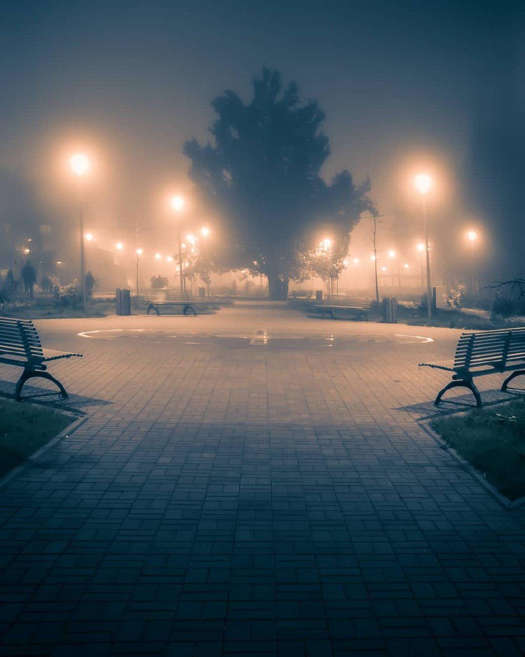 Фото: lexx_dp Фото: lexx_dp