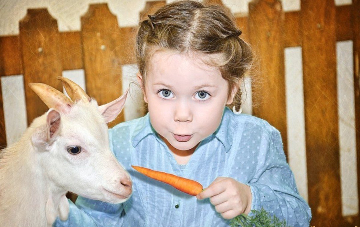 Куда пойти с ребенком в Днепре: ТОП мероприятий для детей на следующей неделе 3