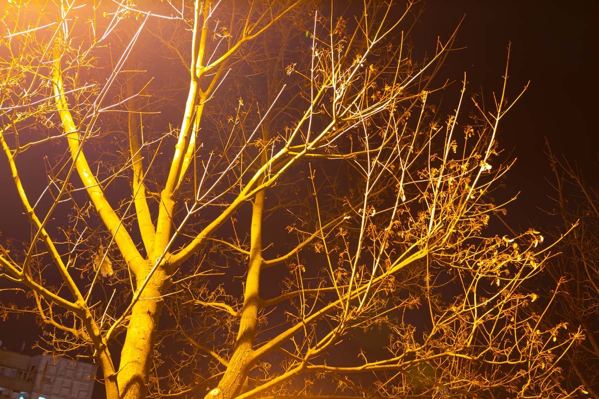 Светло, несмотря на ночь Светло, несмотря на ночь