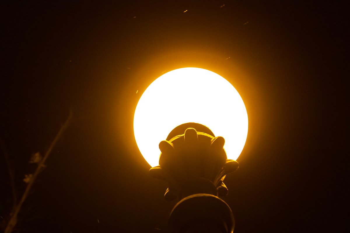 Зимняя ночь выдалась волшебной Зимняя ночь выдалась волшебной