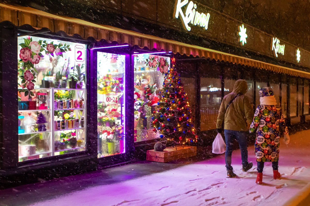 Попытайтесь найти котенка Попытайтесь найти котенка