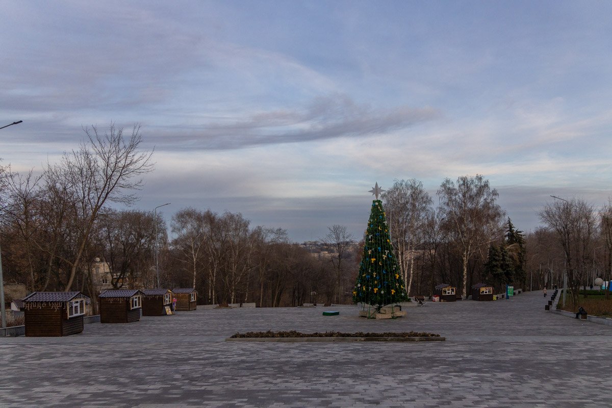 Многие жители района уже успели посмотреть на зеленую красавицу