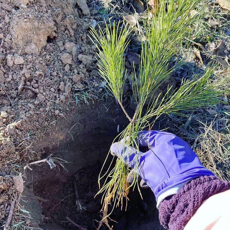 Город делают люди Город делают люди