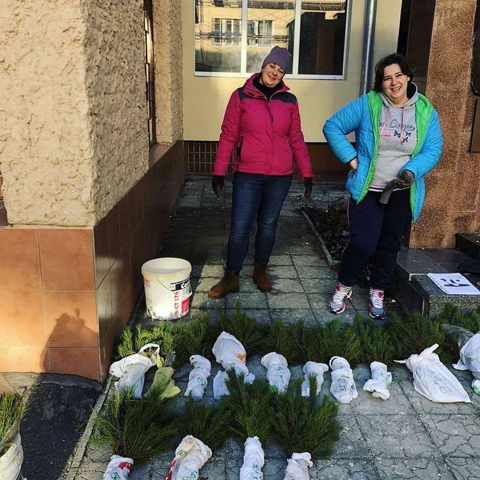 Люди сами собрали деньги на покупку 750 сосен Люди сами собрали деньги на покупку 750 сосен