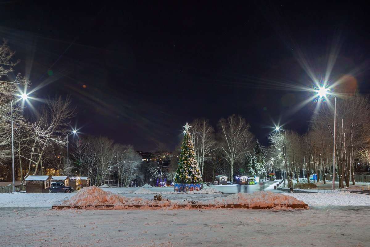 Появилась елка Появилась елка