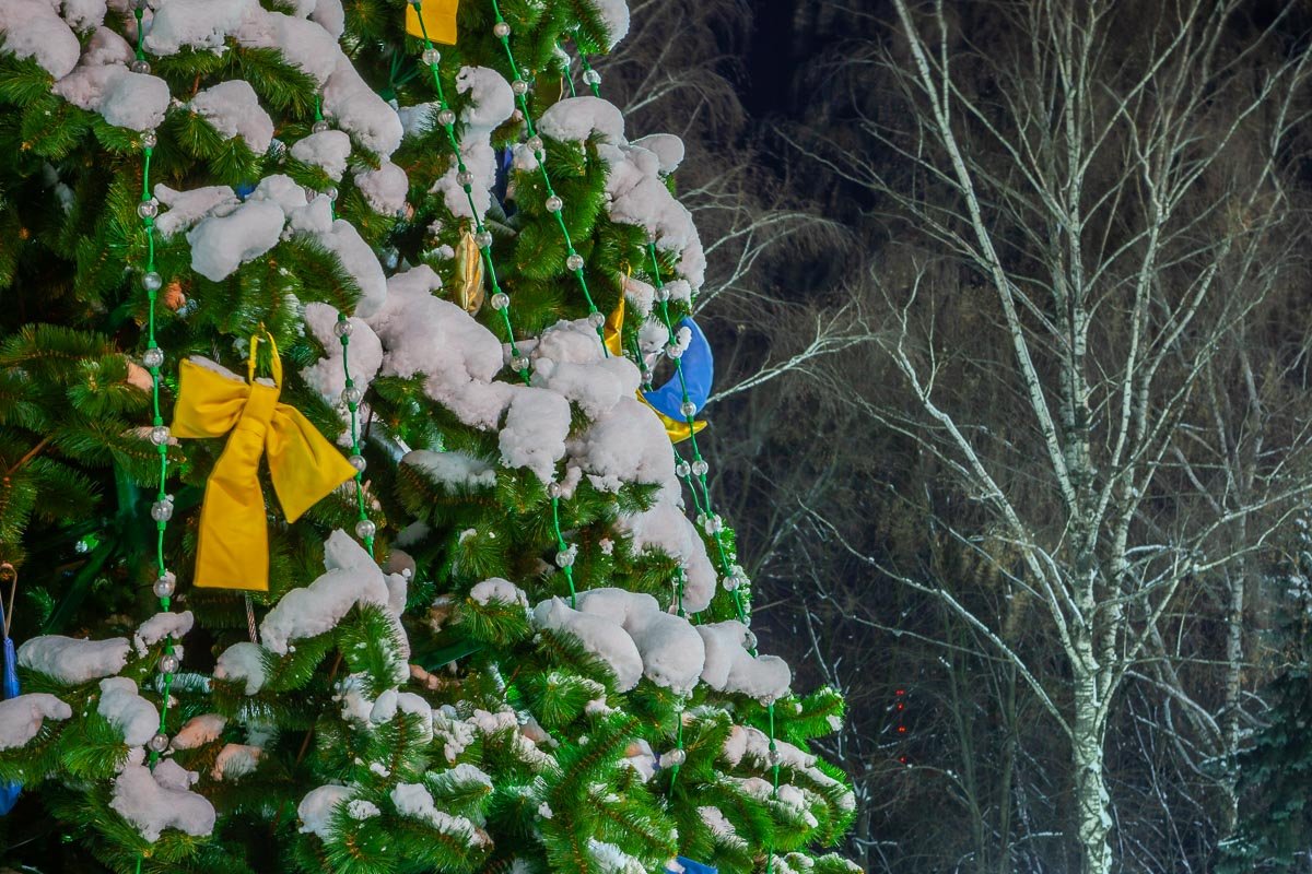 Украсили гирляндами и бантами Украсили гирляндами и бантами