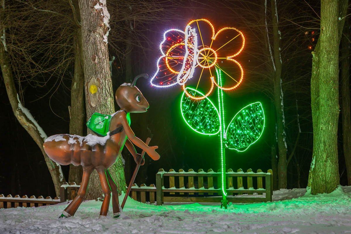 Бабочка светится, а муравей - нет Бабочка светится, а муравей - нет
