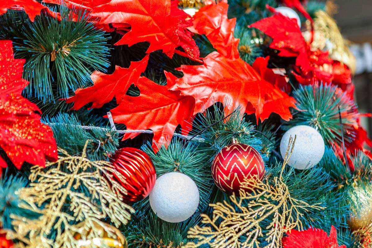 Праздничная атмосфера витает в воздухе