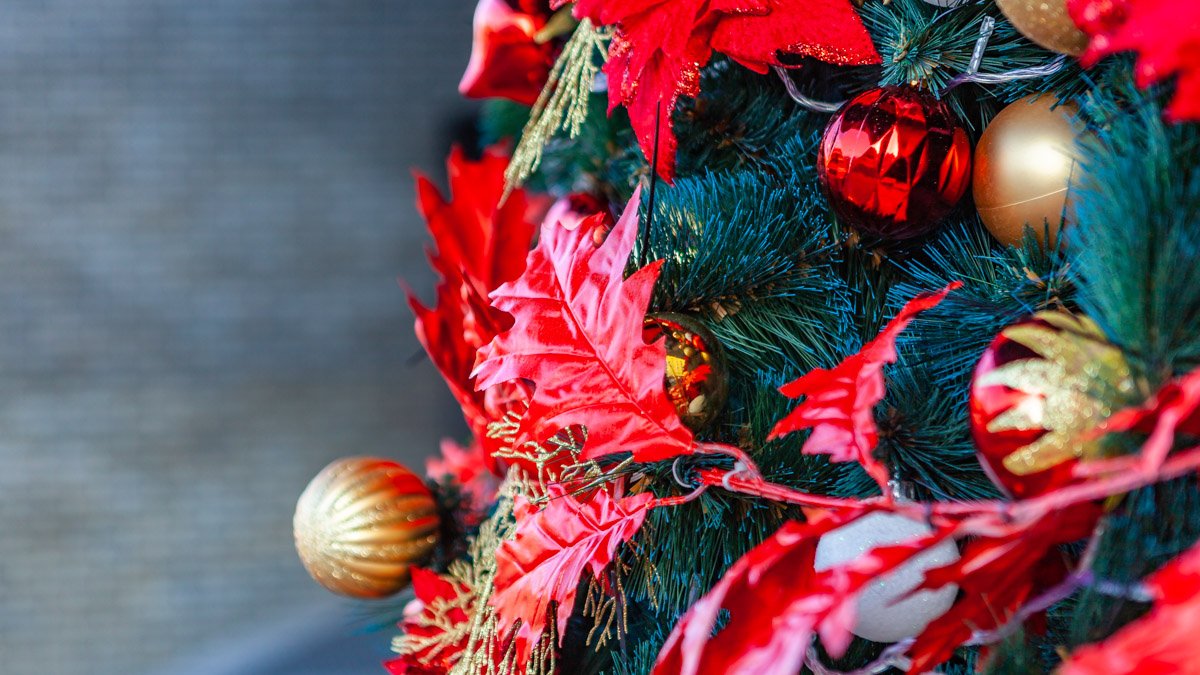 Фото Андрея Шушпана