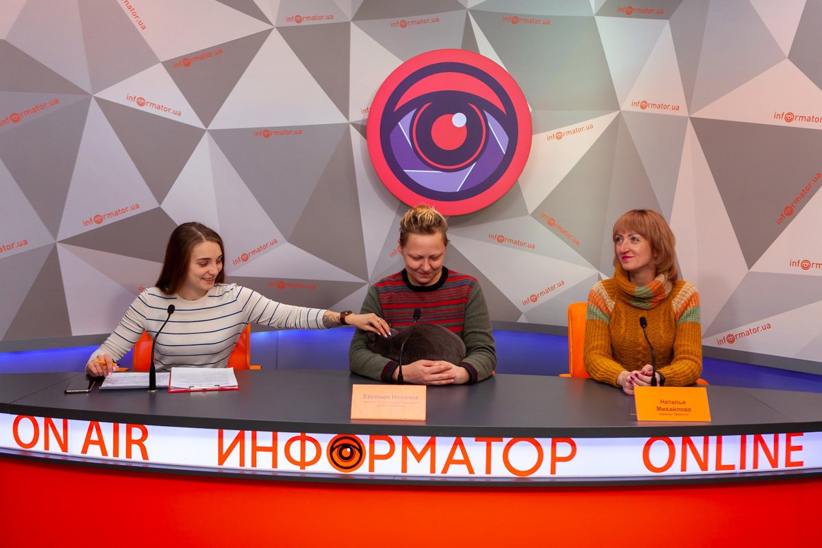Пройдет акция по укотовлению Пройдет акция по укотовлению