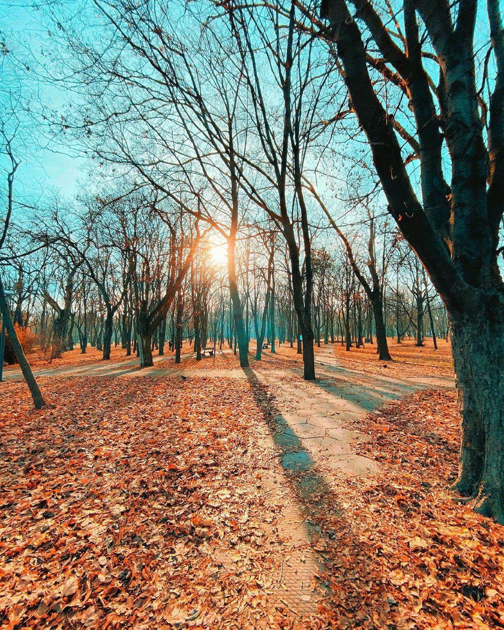 Фото: timofeyka_alina_ Фото: timofeyka_alina_