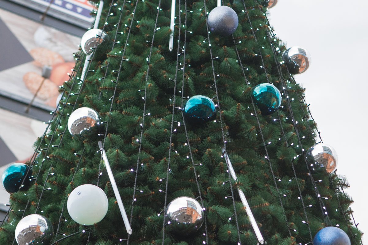 Приходите Приходите