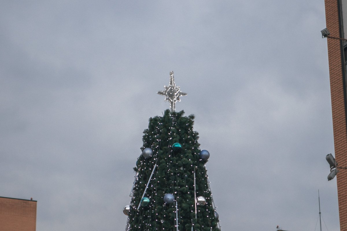 Красавица Красавица