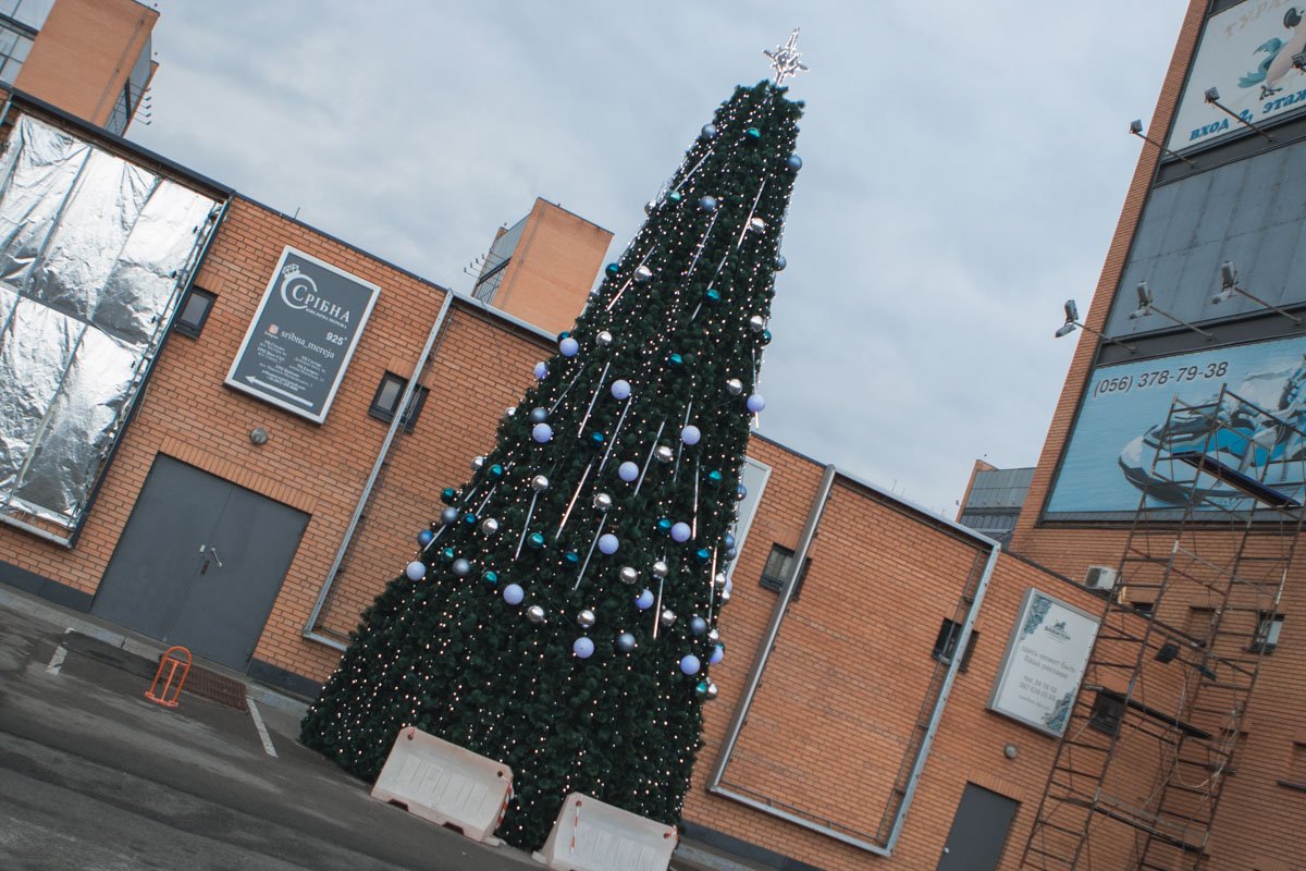 Елочку оградили Елочку оградили