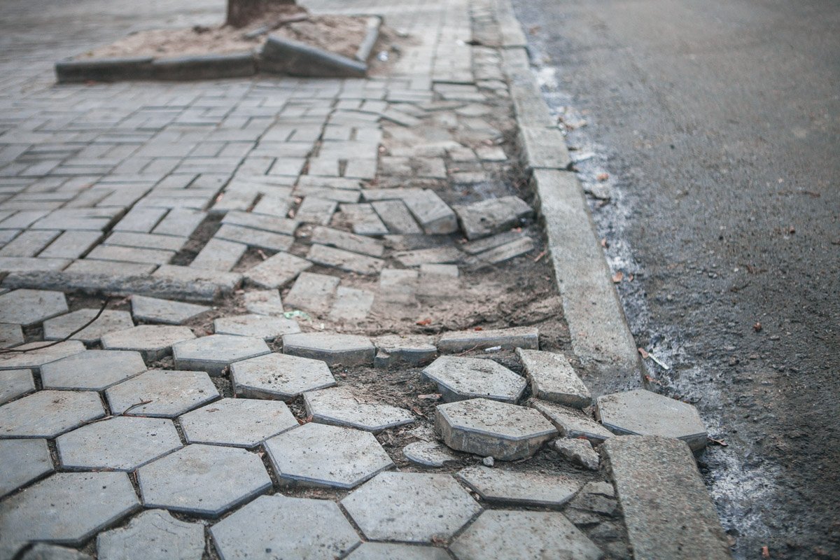 Прожила пару месяцев Прожила пару месяцев