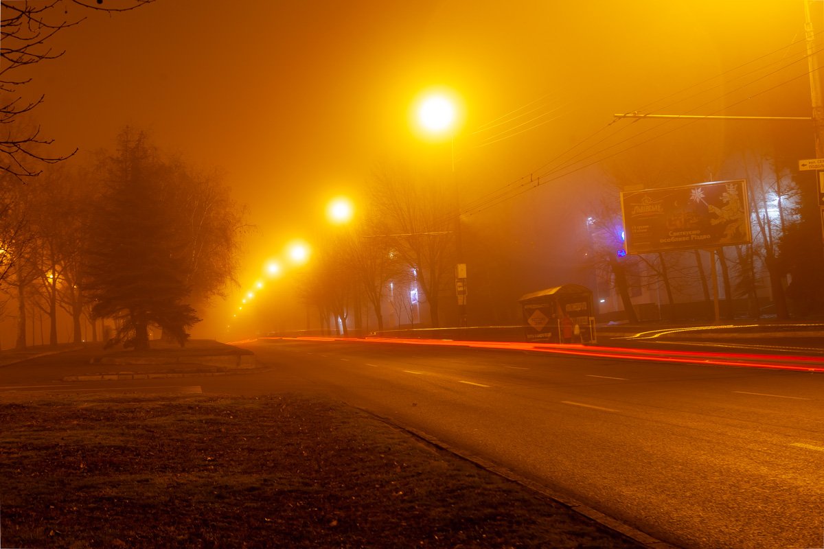 Туман превращает город в сказочное королевство 