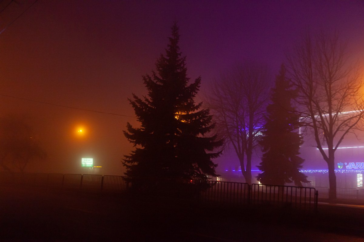 Фото Дмитрия Федорова